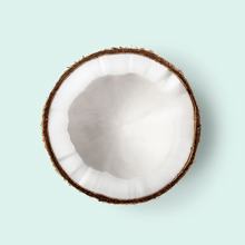 Photo of Coconut